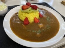 季節限定!苺カレーセット【冷凍パック】10食1セット(ビーフ、チキン、ポーク、苺1・2、各2食)